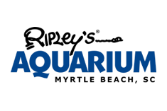 Ripley's Aquarium